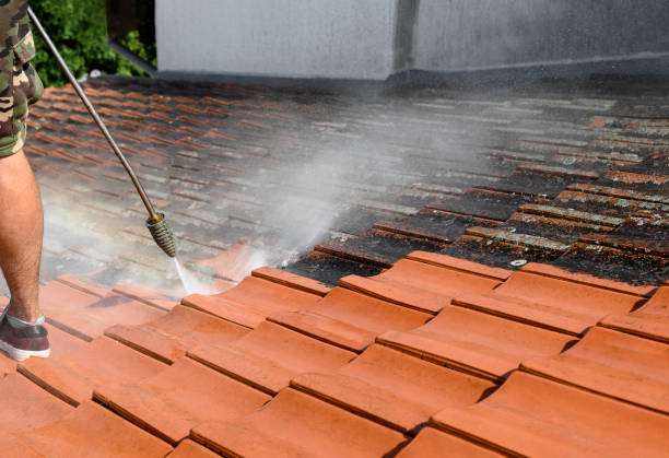 Best Sidewalk Pressure Washing  in Francis, UT